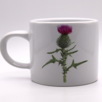 Thistle Espresso Cup